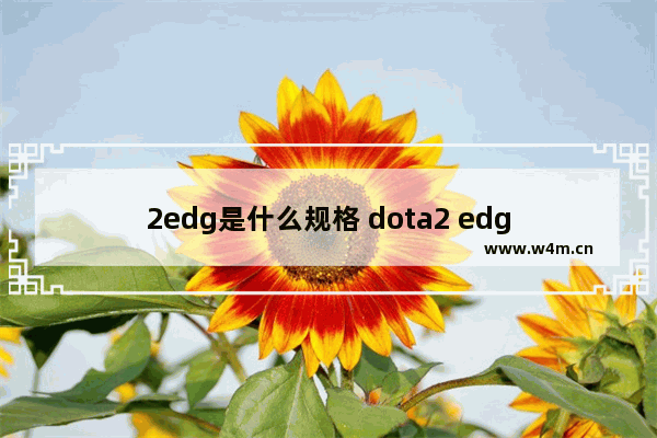 2edg是什么规格 dota2 edg