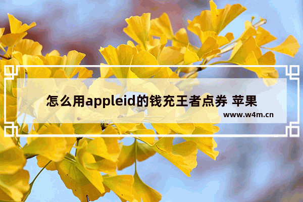 怎么用appleid的钱充王者点券 苹果手机怎么充王者点券