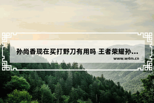 孙尚香现在买打野刀有用吗 王者荣耀孙尚香打野