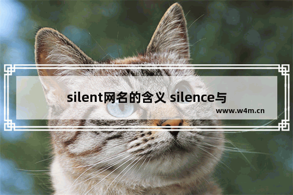 silent网名的含义 silence与silently和silent的用法