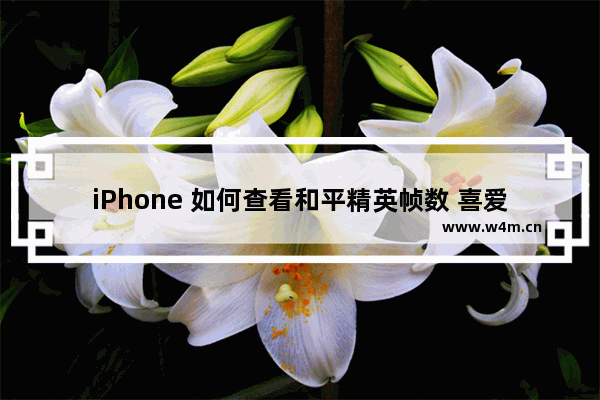 iPhone 如何查看和平精英帧数 喜爱福和平精英