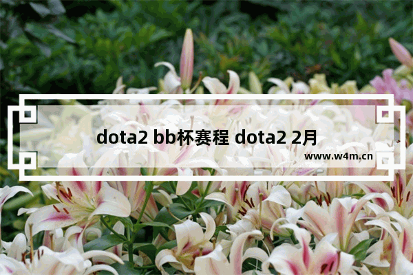 dota2 bb杯赛程 dota2 2月20