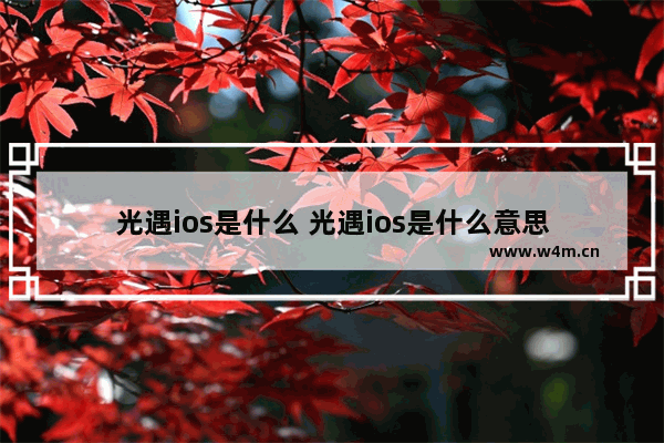 光遇ios是什么 光遇ios是什么意思