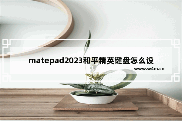 matepad2023和平精英键盘怎么设置 和平精英键盘改造