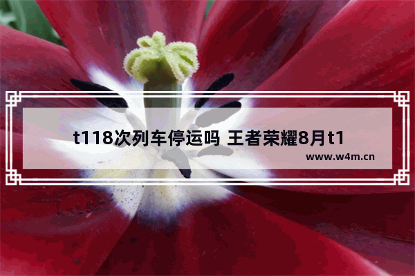 t118次列车停运吗 王者荣耀8月t1