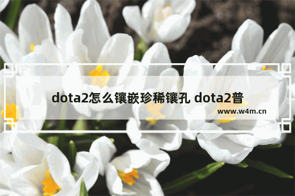 dota2怎么镶嵌珍稀镶孔 dota2普通孔