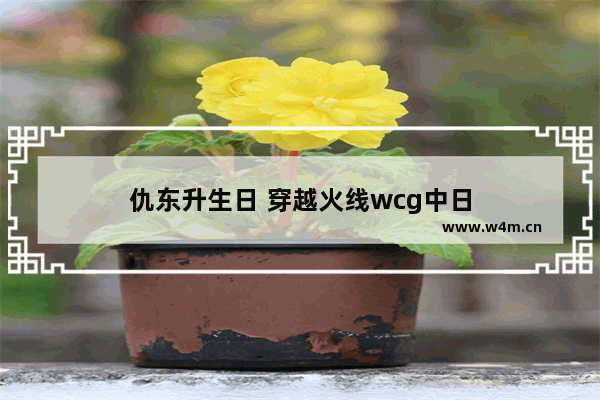 仇东升生日 穿越火线wcg中日