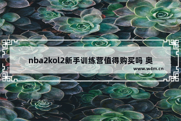 nba2kol2新手训练营值得购买吗 奥奇传说新手训练营怎么过