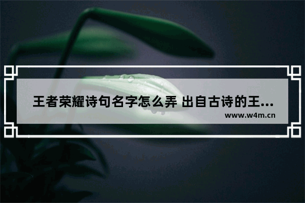 王者荣耀诗句名字怎么弄 出自古诗的王者荣耀男生名字