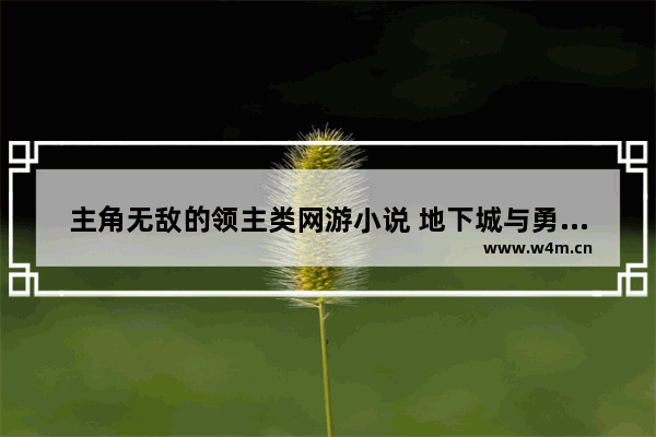 主角无敌的领主类网游小说 地下城与勇士疯狗