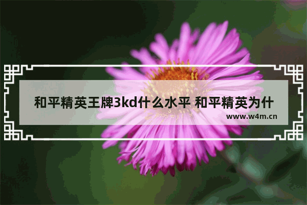 和平精英王牌3kd什么水平 和平精英为什么不能坐副驾驶