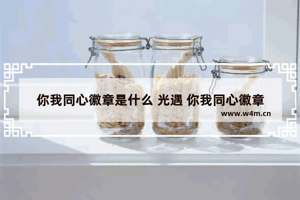 你我同心徽章是什么 光遇 你我同心徽章