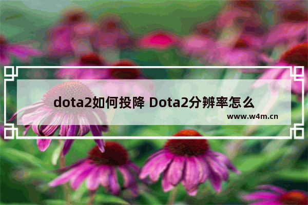 dota2如何投降 Dota2分辨率怎么设置 Dota2如何设置分辨率