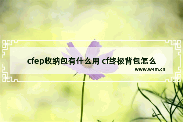 cfep收纳包有什么用 cf终极背包怎么用