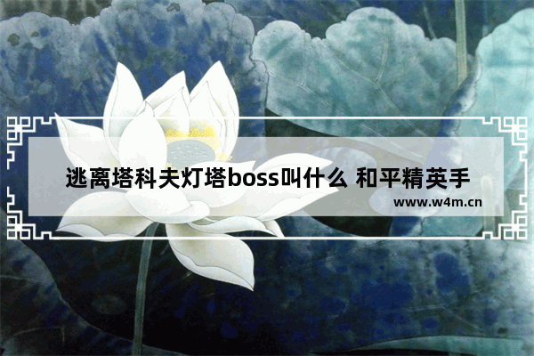 逃离塔科夫灯塔boss叫什么 和平精英手雷狂暴