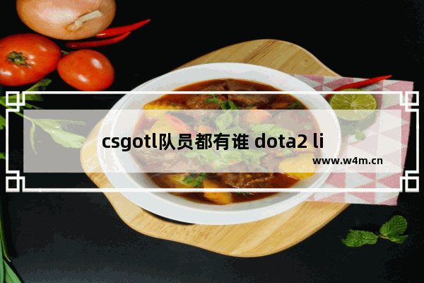 csgotl队员都有谁 dota2 liquid成员