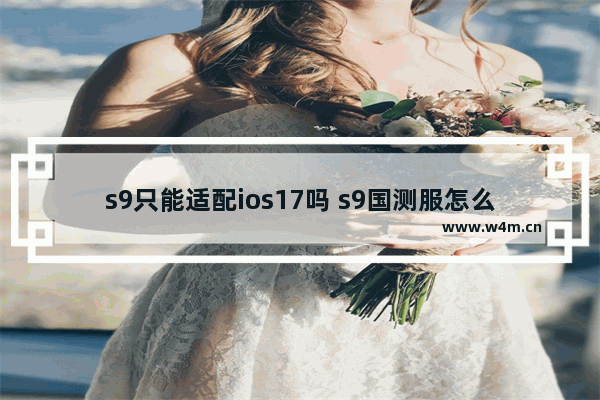 s9只能适配ios17吗 s9国测服怎么下