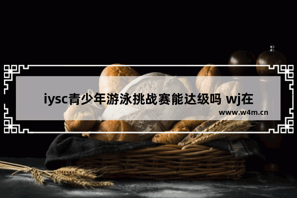 iysc青少年游泳挑战赛能达级吗 wj在国际比赛中的意思