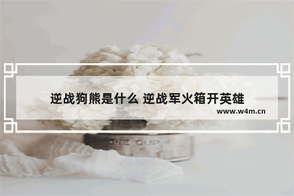 逆战狗熊是什么 逆战军火箱开英雄