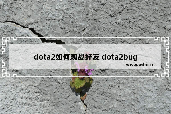 dota2如何观战好友 dota2bug饰品别人能看到吗