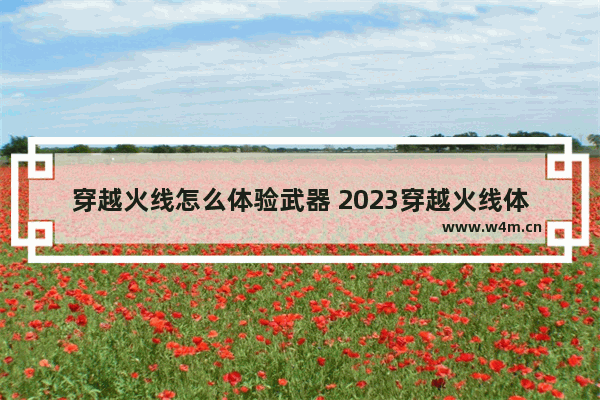 穿越火线怎么体验武器 2023穿越火线体验服登不进去怎么办