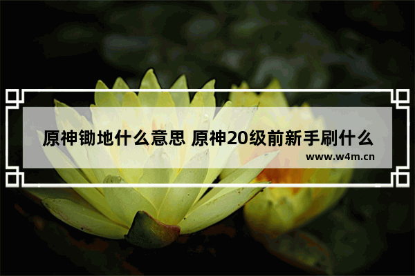 原神锄地什么意思 原神20级前新手刷什么副本