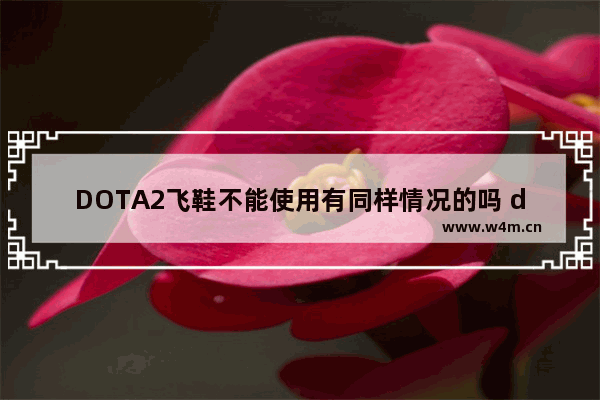 DOTA2飞鞋不能使用有同样情况的吗 dota2鞋使用