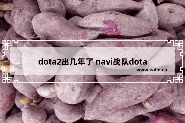 dota2出几年了 navi战队dota2