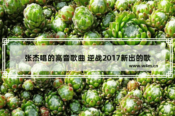 张杰唱的高音歌曲 逆战2017新出的歌