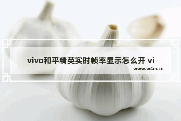 vivo和平精英实时帧率显示怎么开 vivopad2玩和平精英怎么看实时帧率