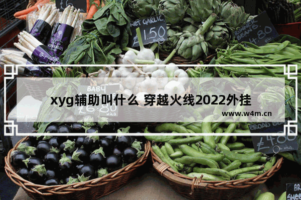 xyg辅助叫什么 穿越火线2022外挂