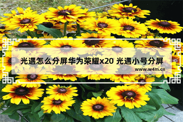 光遇怎么分屏华为荣耀x20 光遇小号分屏华为