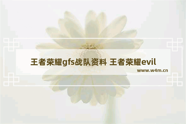 王者荣耀gfs战队资料 王者荣耀evildoer