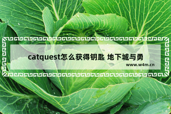 catquest怎么获得钥匙 地下城与勇士quest