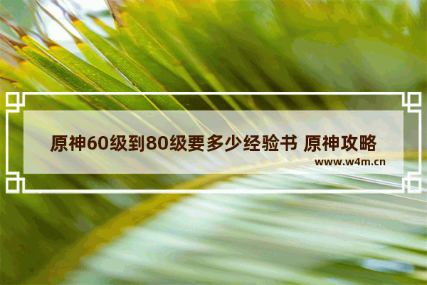 原神60级到80级要多少经验书 原神攻略的需求