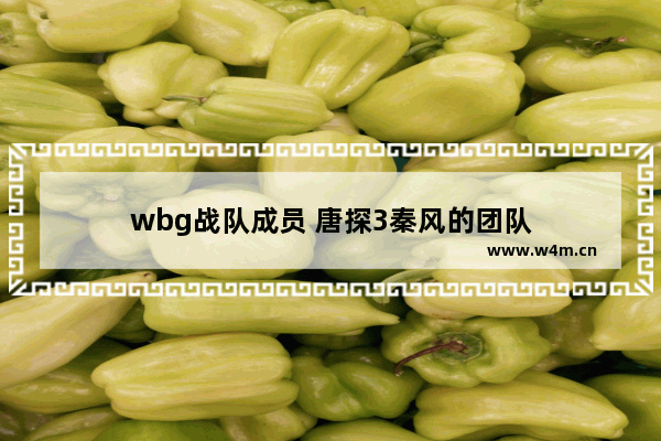 wbg战队成员 唐探3秦风的团队