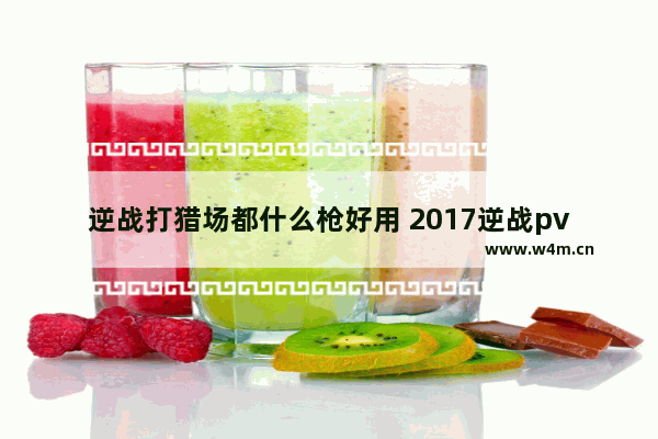 逆战打猎场都什么枪好用 2017逆战pve神器排行