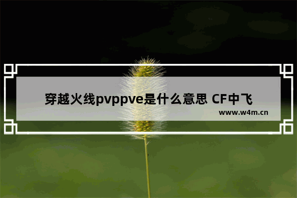 穿越火线pvppve是什么意思 CF中飞虎队是什么意思