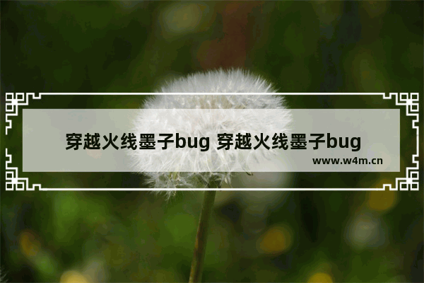 穿越火线墨子bug 穿越火线墨子bug