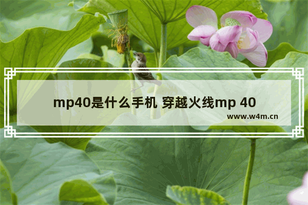 mp40是什么手机 穿越火线mp 40