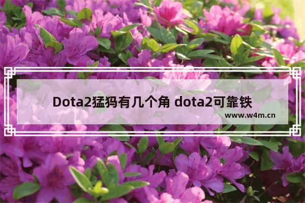 Dota2猛犸有几个角 dota2可靠铁铲怎么用