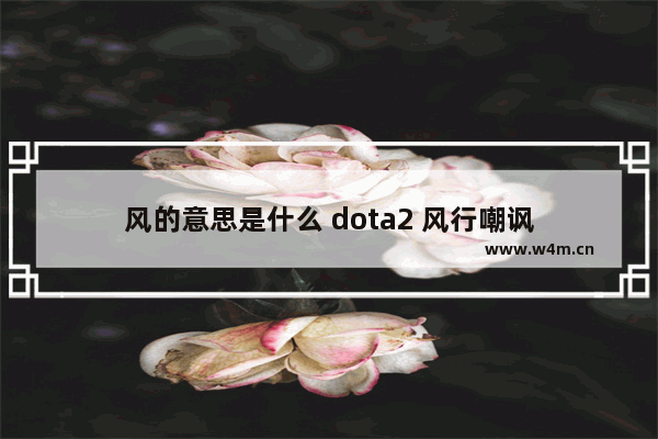 风的意思是什么 dota2 风行嘲讽