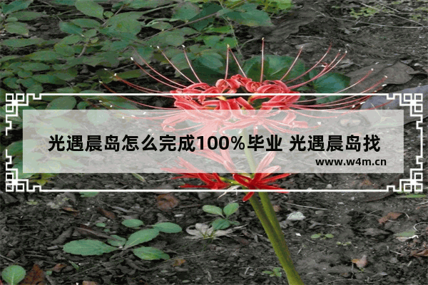 光遇晨岛怎么完成100%毕业 光遇晨岛找到哪些才能毕业