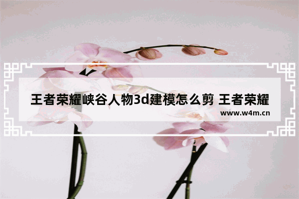 王者荣耀峡谷人物3d建模怎么剪 王者荣耀s33赛季怎么下载建模