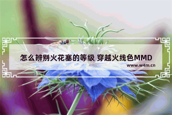 怎么辨别火花塞的等级 穿越火线色MMD