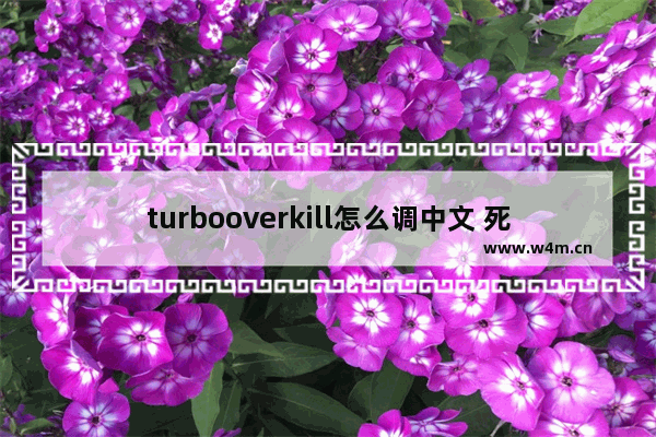 turbooverkill怎么调中文 死亡之屋overkill剧情