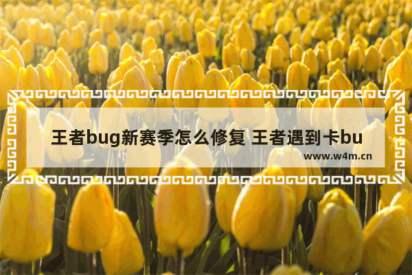 王者bug新赛季怎么修复 王者遇到卡bug的怎么办