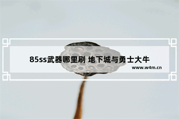 85ss武器哪里刷 地下城与勇士大牛