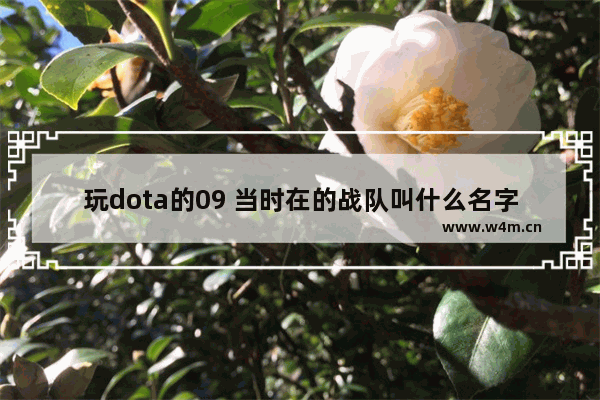 玩dota的09 当时在的战队叫什么名字和获过什么奖 dota战队名字含义