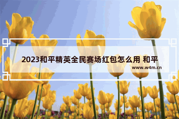 2023和平精英全民赛场红包怎么用 和平精英红包怎么获得